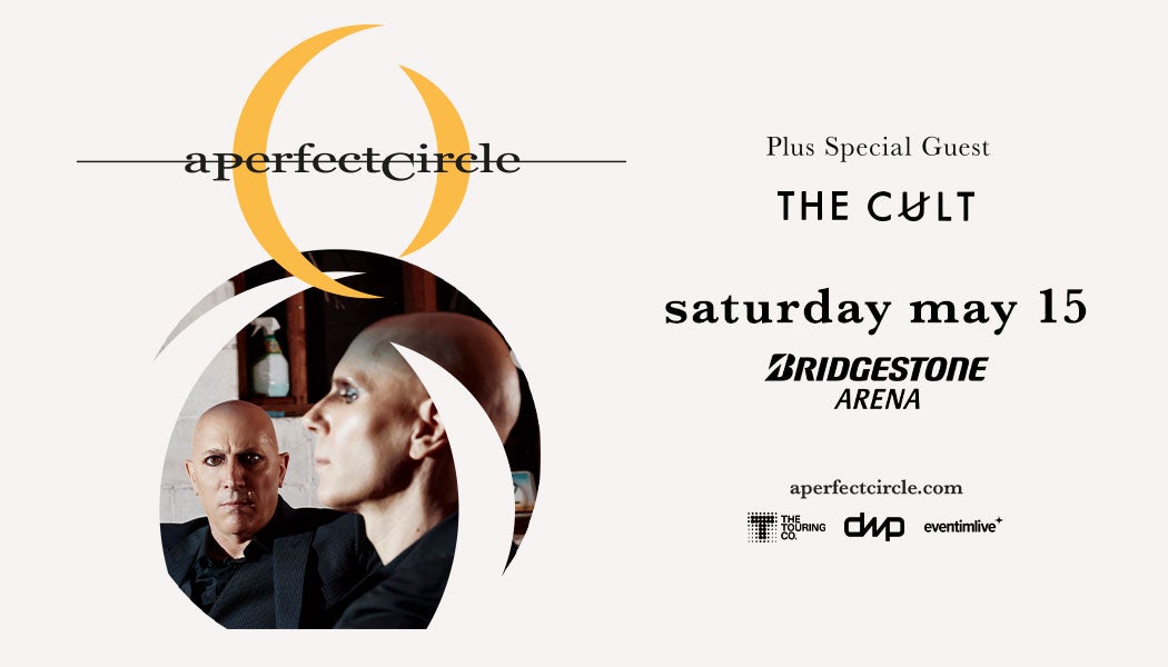 More Info for A Perfect Circle